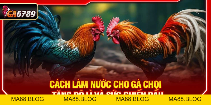 Tin Tức Tin Tức