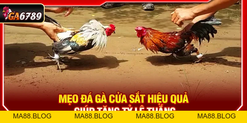 Tin Tức Tin Tức