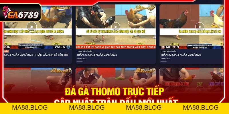 Tin Tức Tin Tức