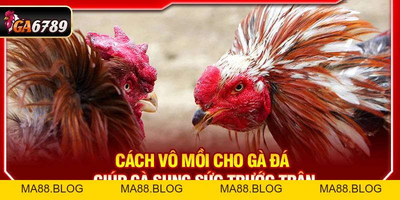Tin Tức Tin Tức
