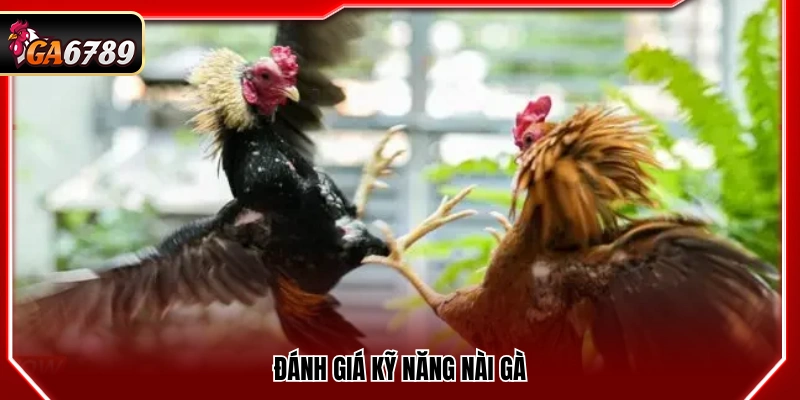 Đá Gà Philippines - Kinh Nghiệm Xem Và Bắt Kèo Tại Ga6789 Đá Gà Philippines - Kinh Nghiệm Xem Và Bắt Kèo Tại Ga6789