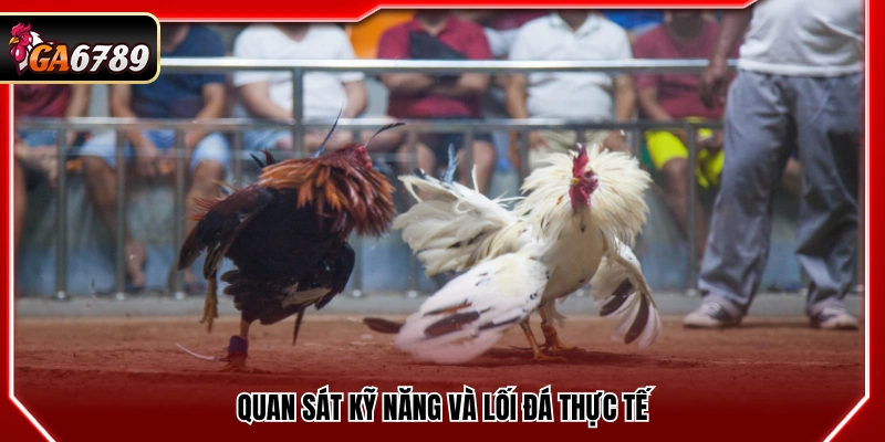 Kèo Chấp Đá Gà - Cách Hiểu Và Áp Dụng Chuẩn Tại Ga6789 Kèo Chấp Đá Gà - Cách Hiểu Và Áp Dụng Chuẩn Tại Ga6789