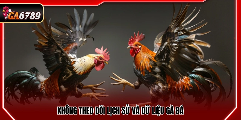 Kinh Nghiệm Cá Độ Đá Gà Thực Tế Từ Người Chơi Lâu Năm Kinh Nghiệm Cá Độ Đá Gà Thực Tế Từ Người Chơi Lâu Năm