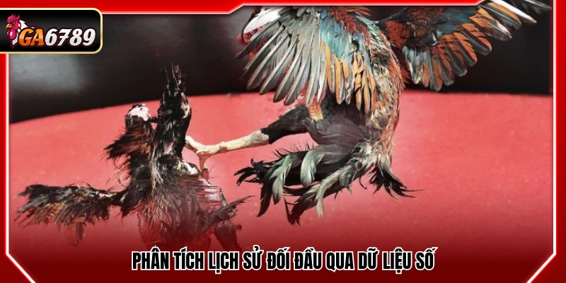 Kinh Nghiệm Cá Độ Đá Gà Thực Tế Từ Người Chơi Lâu Năm Kinh Nghiệm Cá Độ Đá Gà Thực Tế Từ Người Chơi Lâu Năm