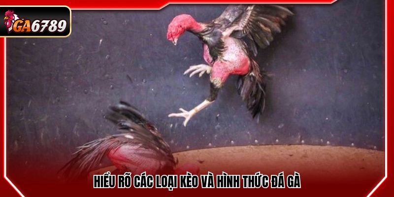 Mẹo Cá Cược Gà Đá - Kinh Nghiệm Bắt Kèo Chuẩn Xác Tại Ga6789