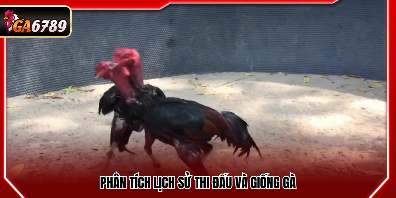 Mẹo Cá Cược Gà Đá - Kinh Nghiệm Bắt Kèo Chuẩn Xác Tại Ga6789