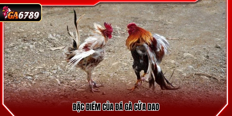 Mẹo Đá Gà Cửa Dao- Bí Quyết Theo Kèo An Toàn Tại Ga6789