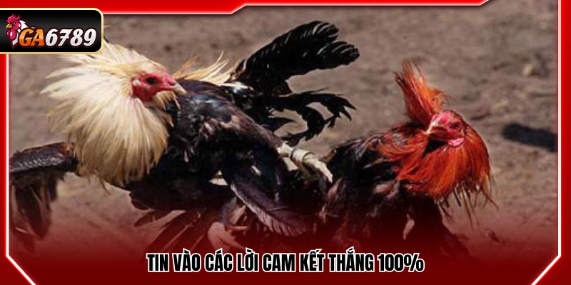 Mẹo Đá Gà Cửa Dao- Bí Quyết Theo Kèo An Toàn Tại Ga6789
