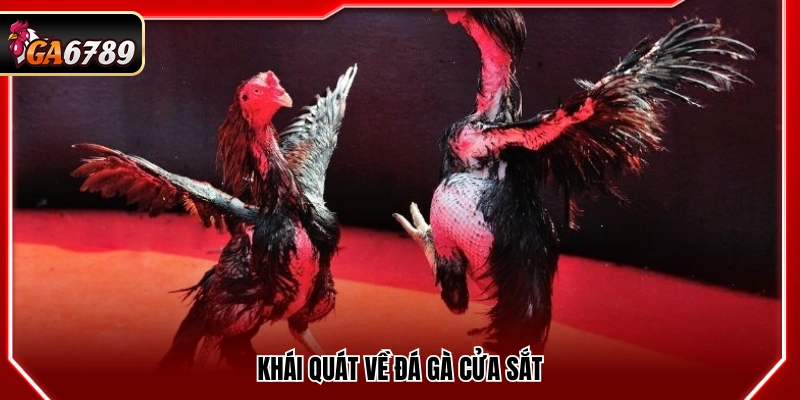 Mẹo Đá Gà Cửa Sắt Hiệu Quả Giúp Tăng Tỷ Lệ Thắng Tại Ga6789
