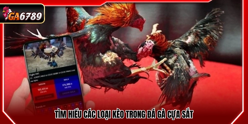 Mẹo Đá Gà Cửa Sắt Hiệu Quả Giúp Tăng Tỷ Lệ Thắng Tại Ga6789