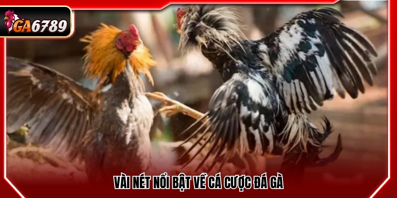 Thủ Thuật Cược Đá Gà Tại Ga6789 Tăng Tỷ Lệ Thắng Hôm Nay