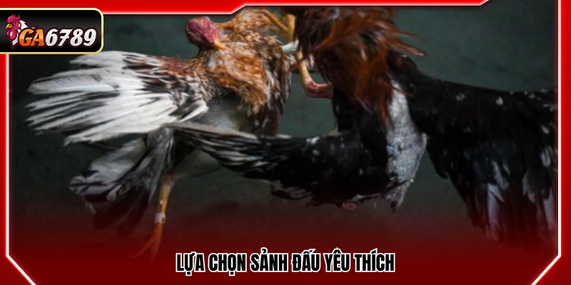 Trực Tiếp Đá Gà Hôm Nay - Xem Đá Gà Full Trận Mới Nhất Trực Tiếp Đá Gà Hôm Nay - Xem Đá Gà Full Trận Mới Nhất